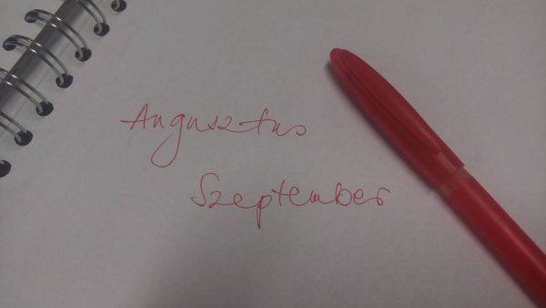 11914531_10207537256219280_3213081566356532703_n